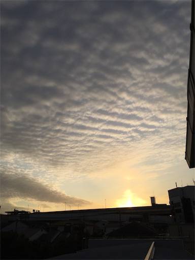 f:id:aroma-olive:20200303180209j:image f:id:aroma-olive:20200303180209j:image