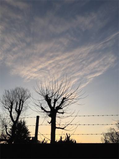 f:id:aroma-olive:20200303180222j:image f:id:aroma-olive:20200303180222j:image