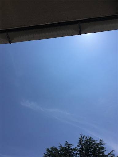 f:id:aroma-olive:20200731204159j:image