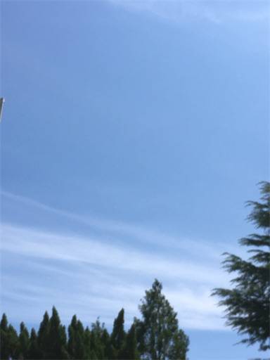 f:id:aroma-olive:20200731204204j:image