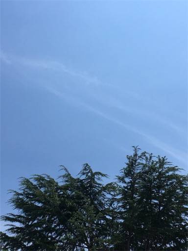 f:id:aroma-olive:20200731204209j:image