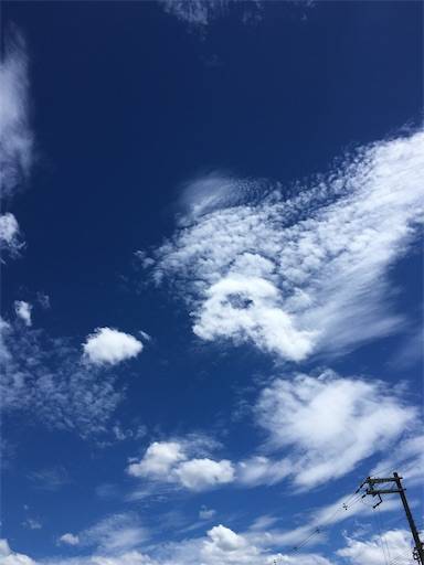 f:id:aroma-olive:20200811161904j:image f:id:aroma-olive:20200811161904j:image