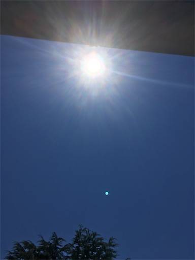 f:id:aroma-olive:20200815191157j:plain