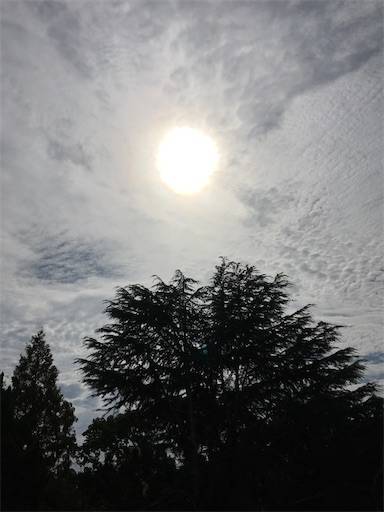 f:id:aroma-olive:20201029124609j:image