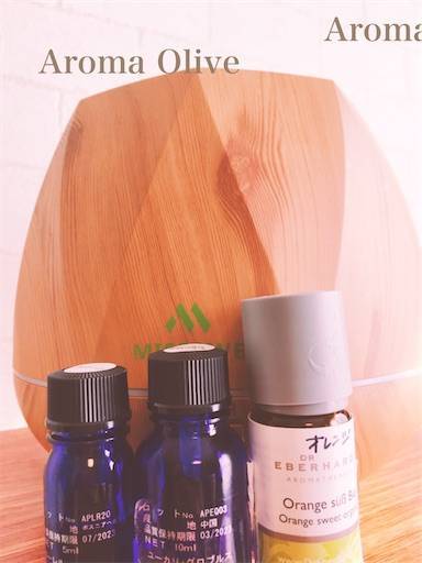 f:id:aroma-olive:20201106183915j:plain