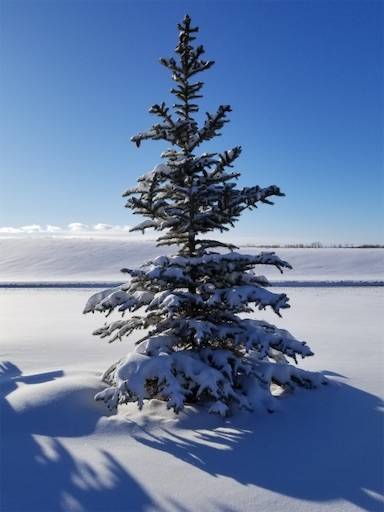 f:id:aroma-olive:20210112185241j:image f:id:aroma-olive:20210112185241j:image