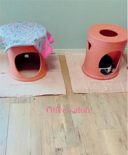 f:id:aroma-olive:20210115211858j:image f:id:aroma-olive:20210115211858j:image