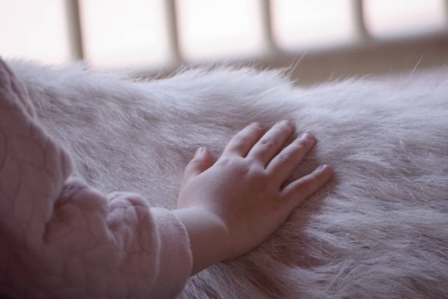 f:id:aroma-olive:20210126113906j:plain