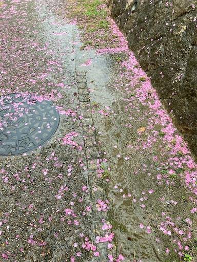 f:id:aroma-olive:20210322210006j:image f:id:aroma-olive:20210322210006j:image