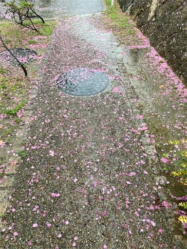 f:id:aroma-olive:20210322210036j:image f:id:aroma-olive:20210322210036j:image