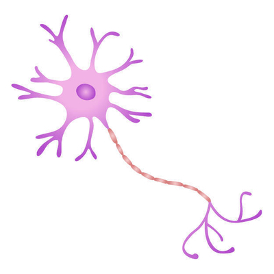 f:id:aroma-olive:20211001111603j:plain