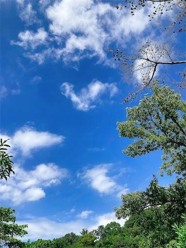 f:id:aroma-olive:20211001133928j:image