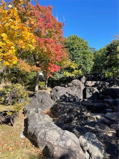 f:id:aroma-olive:20211101205403j:plain