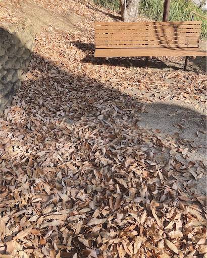 f:id:aroma-olive:20211227224404j:plain