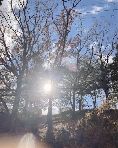 f:id:aroma-olive:20211227224439j:plain