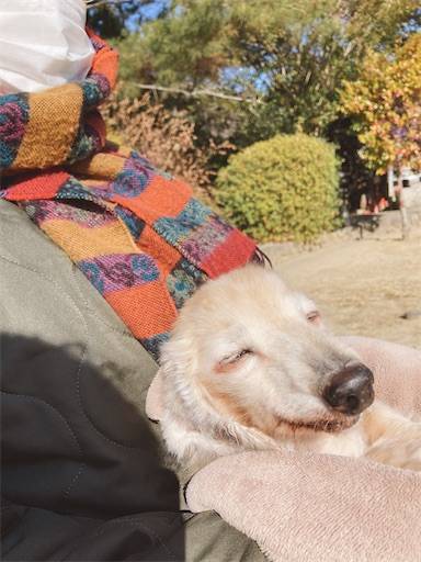 f:id:aroma-olive:20220122210839j:image