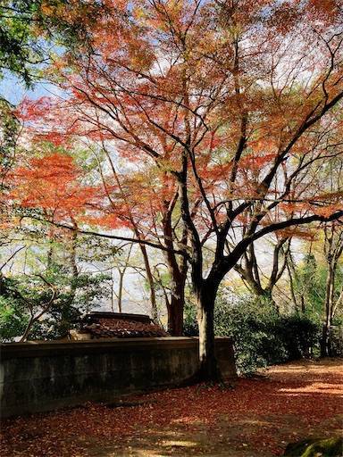 f:id:aroma-olive:20221210105025j:image