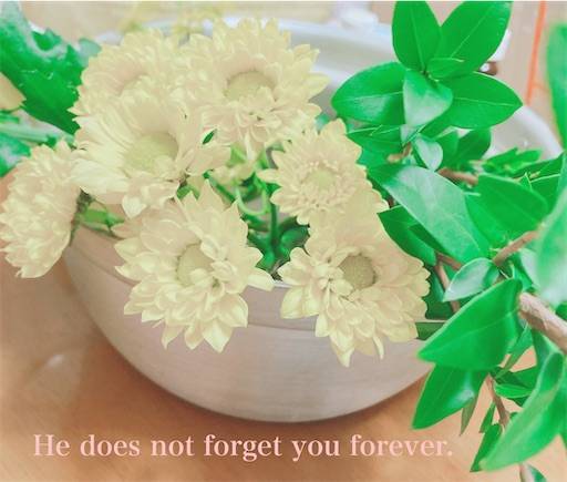 f:id:aroma-olive:20221229235231j:image f:id:aroma-olive:20221229235231j:image