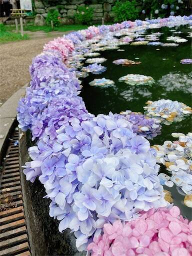 f:id:aroma-olive:20230703200112j:image f:id:aroma-olive:20230703200112j:image