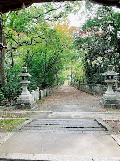 f:id:aroma-olive:20231117114447j:image