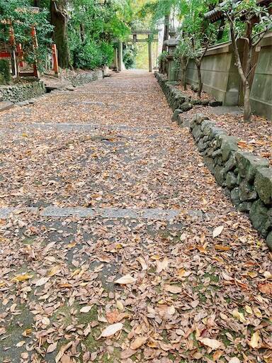 f:id:aroma-olive:20231117114452j:image