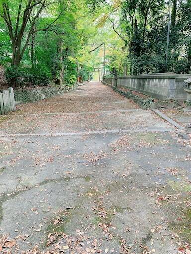 f:id:aroma-olive:20231117114456j:image