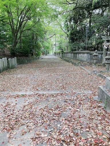 f:id:aroma-olive:20240420150416j:image