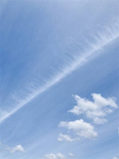 f:id:aroma-olive:20240611121540j:image f:id:aroma-olive:20240611121540j:image