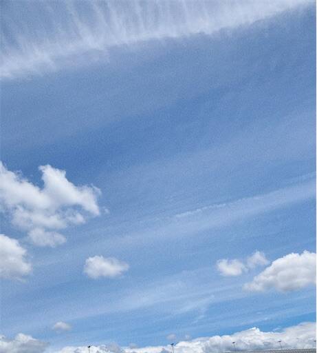 f:id:aroma-olive:20240611121744j:image f:id:aroma-olive:20240611121744j:image