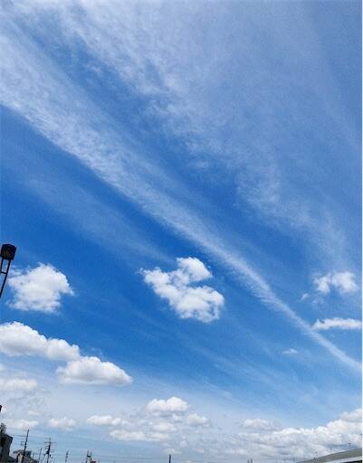 f:id:aroma-olive:20240611122241j:image f:id:aroma-olive:20240611122241j:image