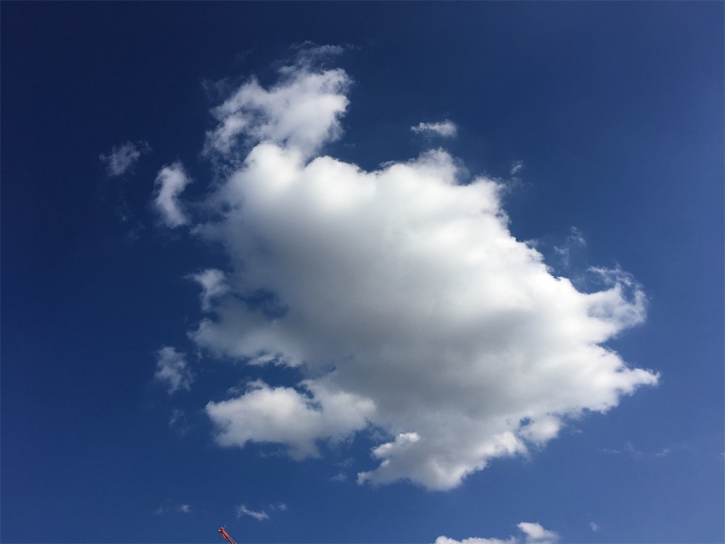 f:id:aromacoro:20190105221207j:image