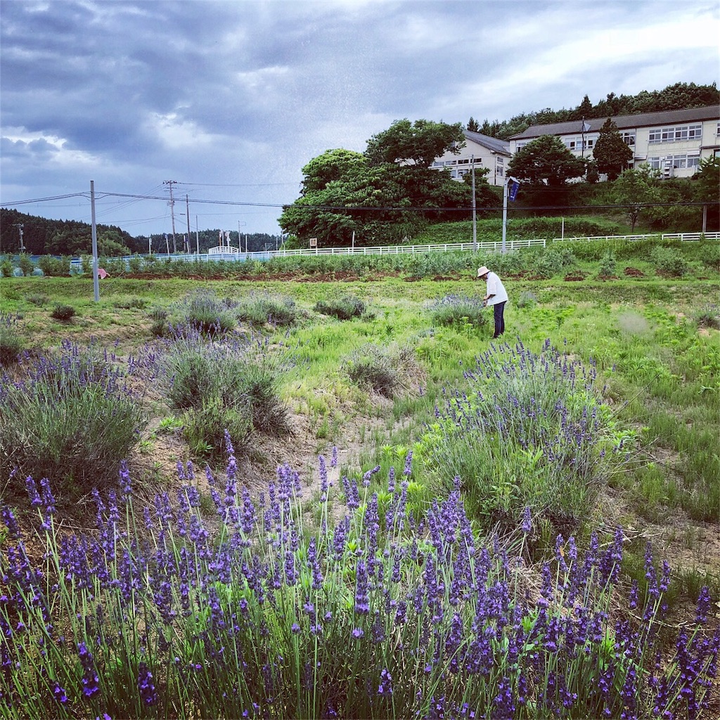 f:id:aromaicca:20180704151003j:image