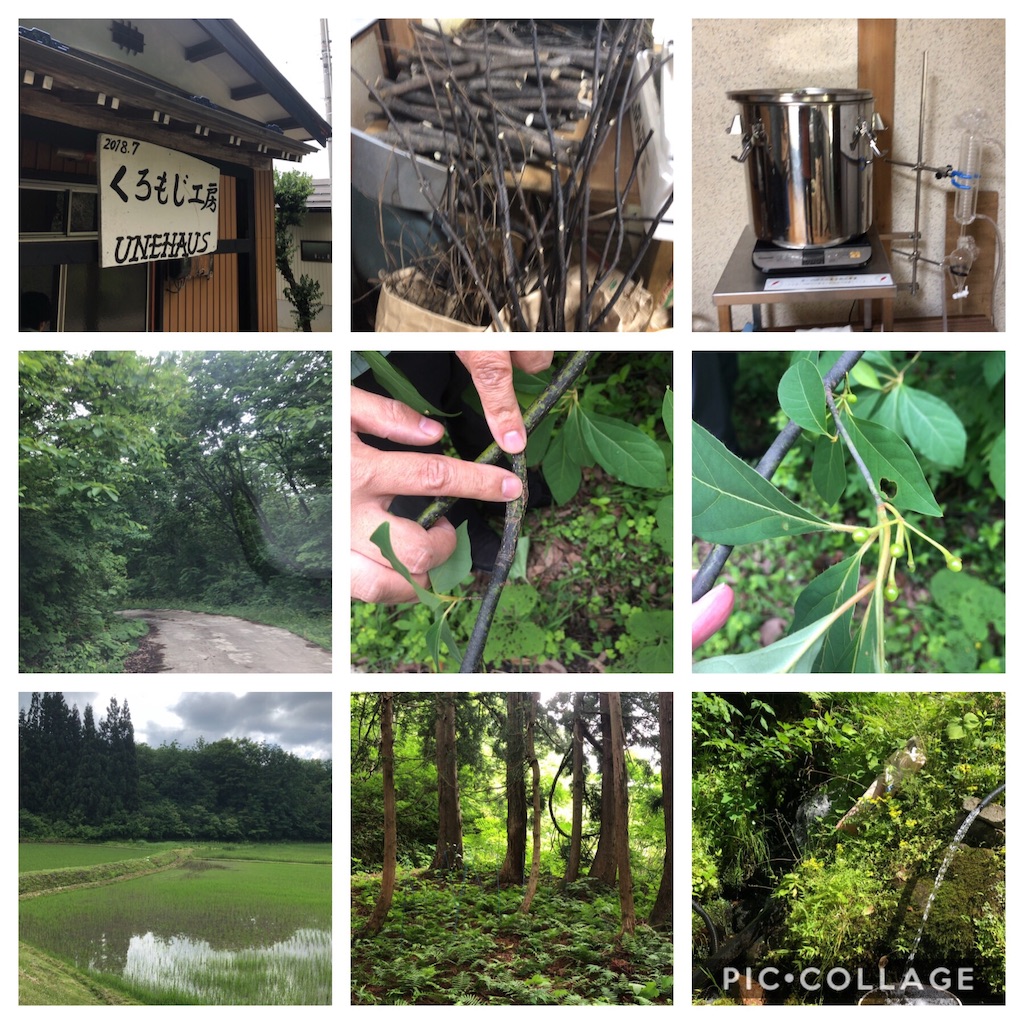 f:id:aromaicca:20190814165131j:image f:id:aromaicca:20190814165131j:image