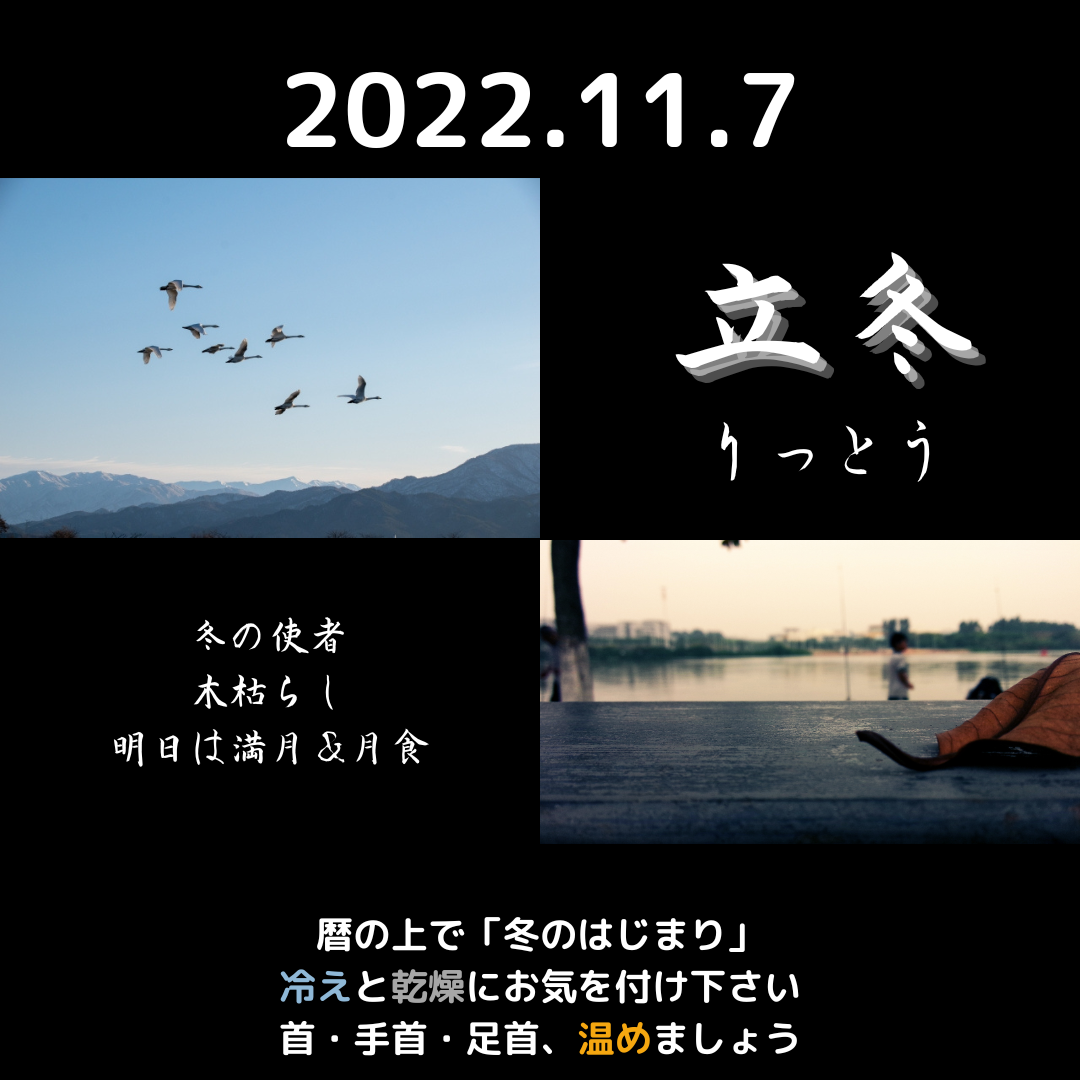 【二十四節気】立冬(りっとう):2022年は11月7日~過ごし方とイメージする香り - 大人の学び直し・リカレント学習にアロマテラピー~知って ...