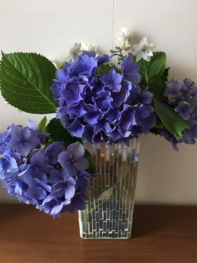 f:id:aromana25:20170704153759j:image