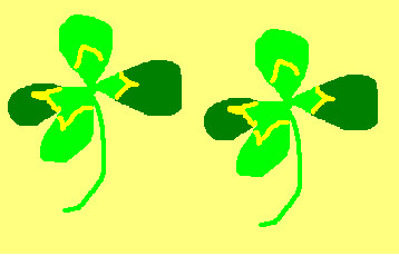 f:id:aron:20050418011646j:image:h100