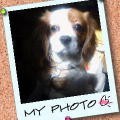 f:id:aron:20050418021955:image