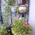 f:id:aron:20050508220410:image