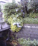 f:id:aron:20060612010524j:image:h200