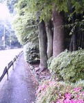 f:id:aron:20060612011115j:image:h200