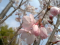 20032010145.jpg