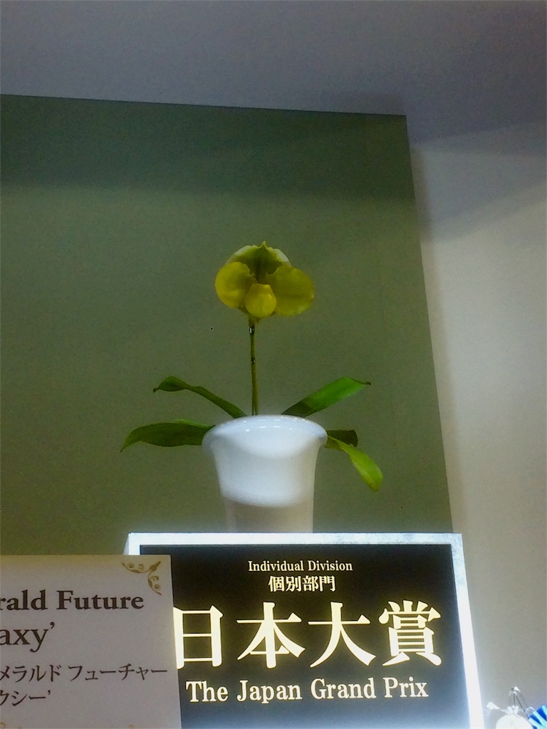 f:id:arou141:20190317110537j:image