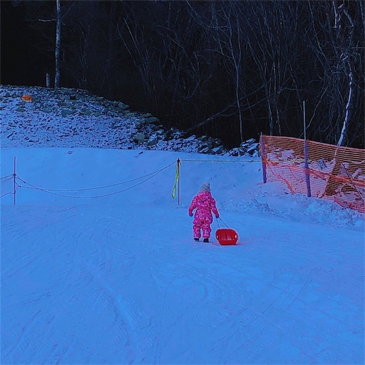 f:id:aroun40workingmother:20190105185144j:image