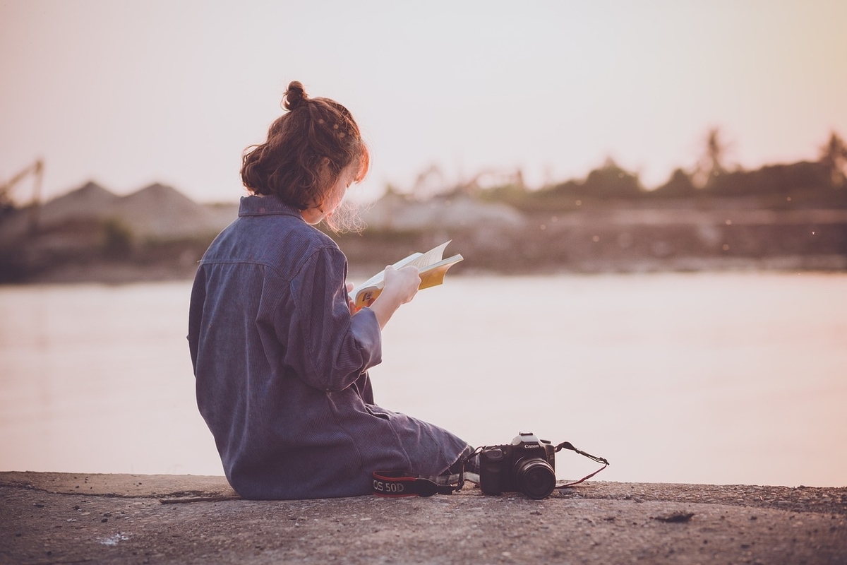 夕暮れ時の海辺で本を読む女性の後ろ姿の画像