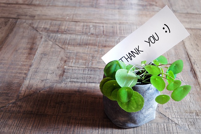 Thank you！（ありがとう）と書かれたカードが小さい感情植物のポットに差し込まれている画像