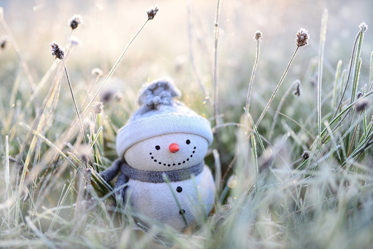 寒そうな草原に毛糸の帽子をかぶった小さな雪だるまが笑顔で映っている画像