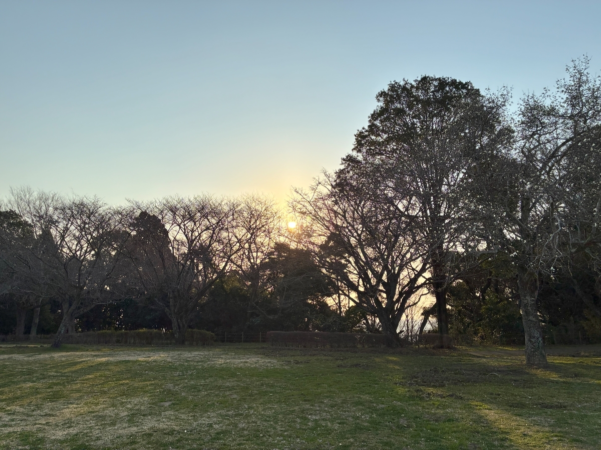 早朝に訪れた近所の公園にて、朝の光が美しい画像