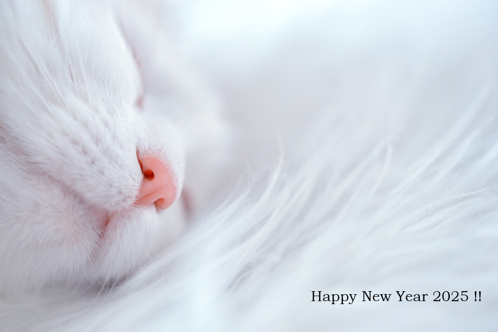 白猫が気持ちよさそうに寝ている顔の接写画像に新年のあいさつ「ハッピーニューイヤー」の英語文字が入っている
