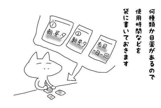 できることが減ってくる母は口だけ達者 アラフィフ リウのくらしの絵日記