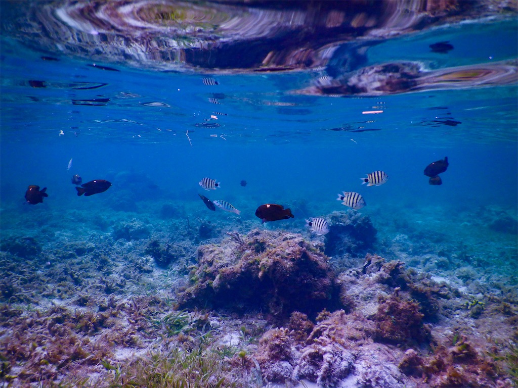 f:id:aroundranai:20200215094420j:image シキホール島No1のリゾートホテルのスイートから眺める絶景の海